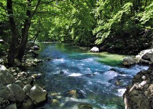 vikos-gorge-via-voidomatis-springs-logo