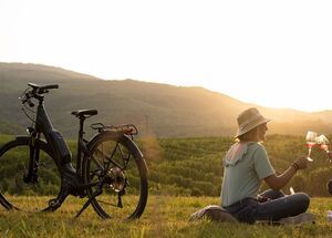 wine-tour-in-naoussa-1-1-1-1-1-1-1-1-1-logo