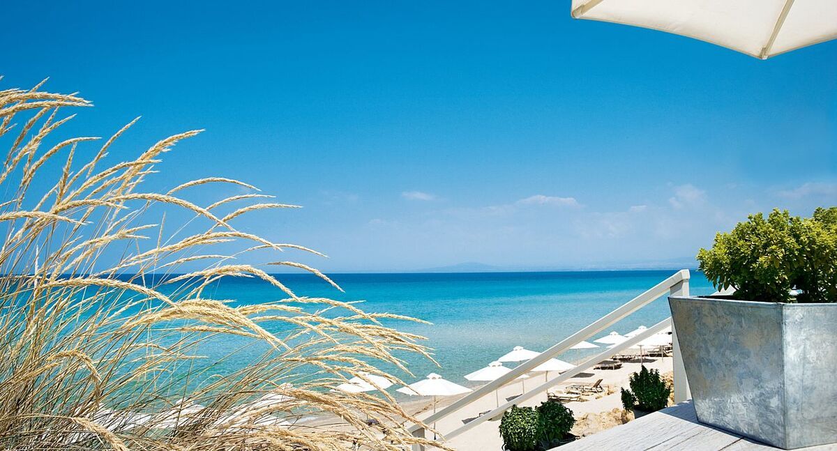 My Sani Festival | Discover Greece Blog