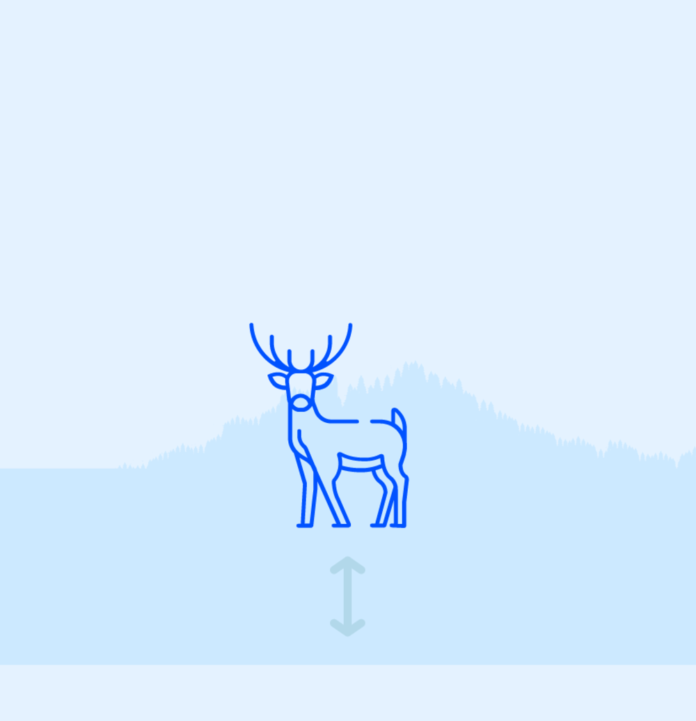 Keep your distance from the wildlife