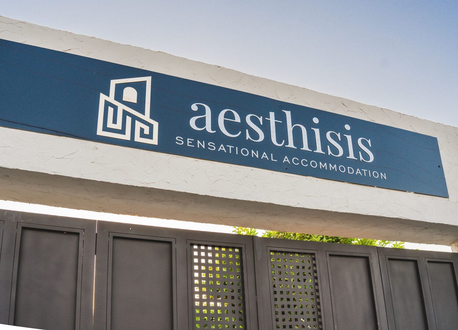 AESTHISIS-photo-3
