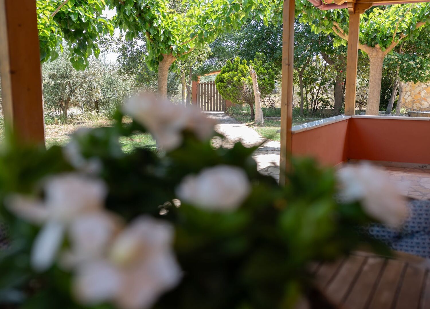 AGROTOSPI-photo-3