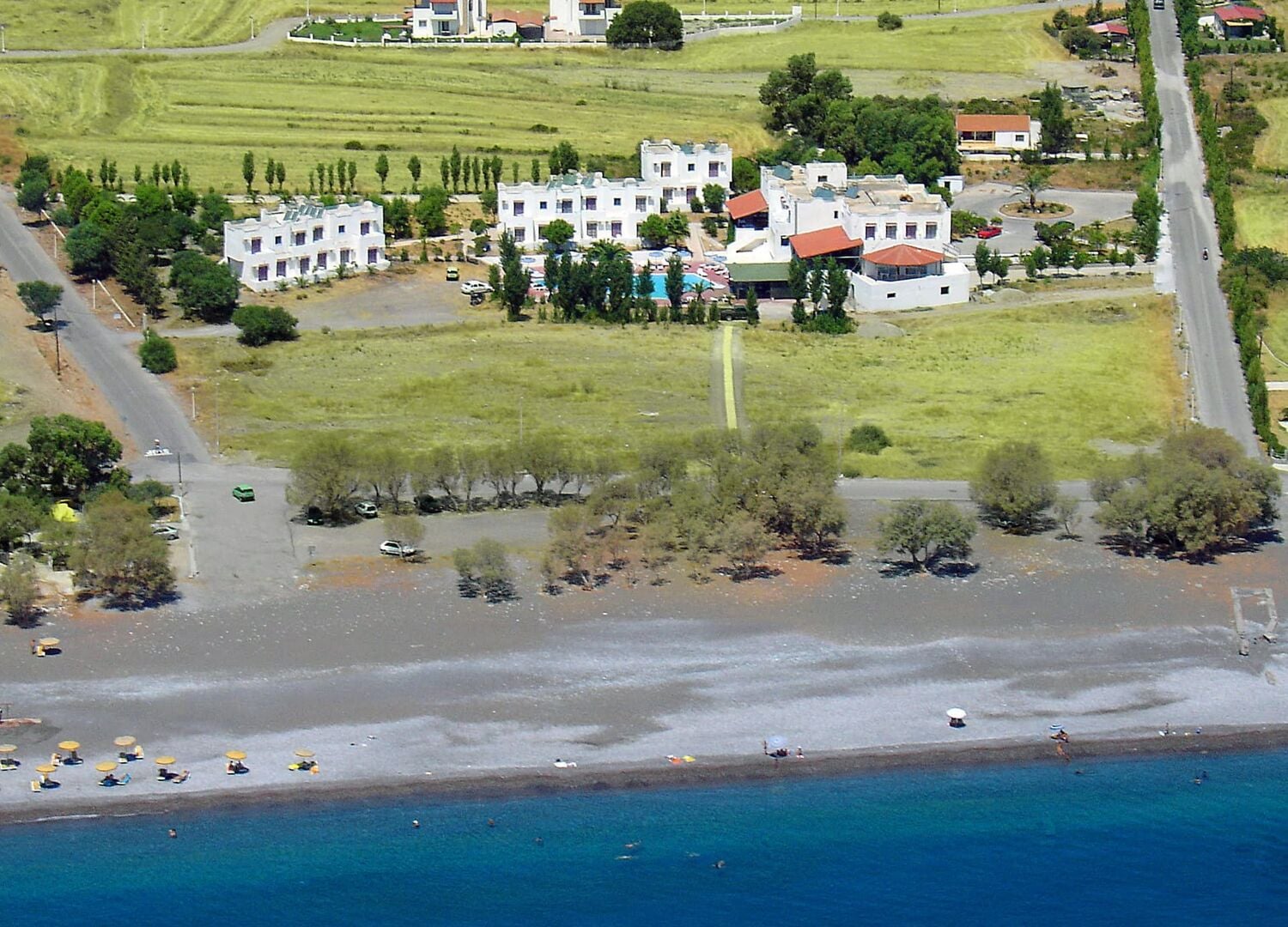 AMPELIASEA-photo-3