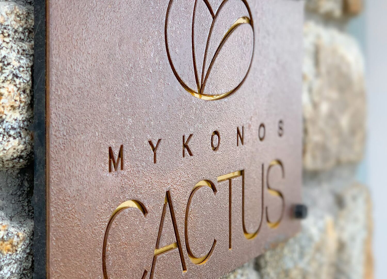 CACTUSMYK-photo-3