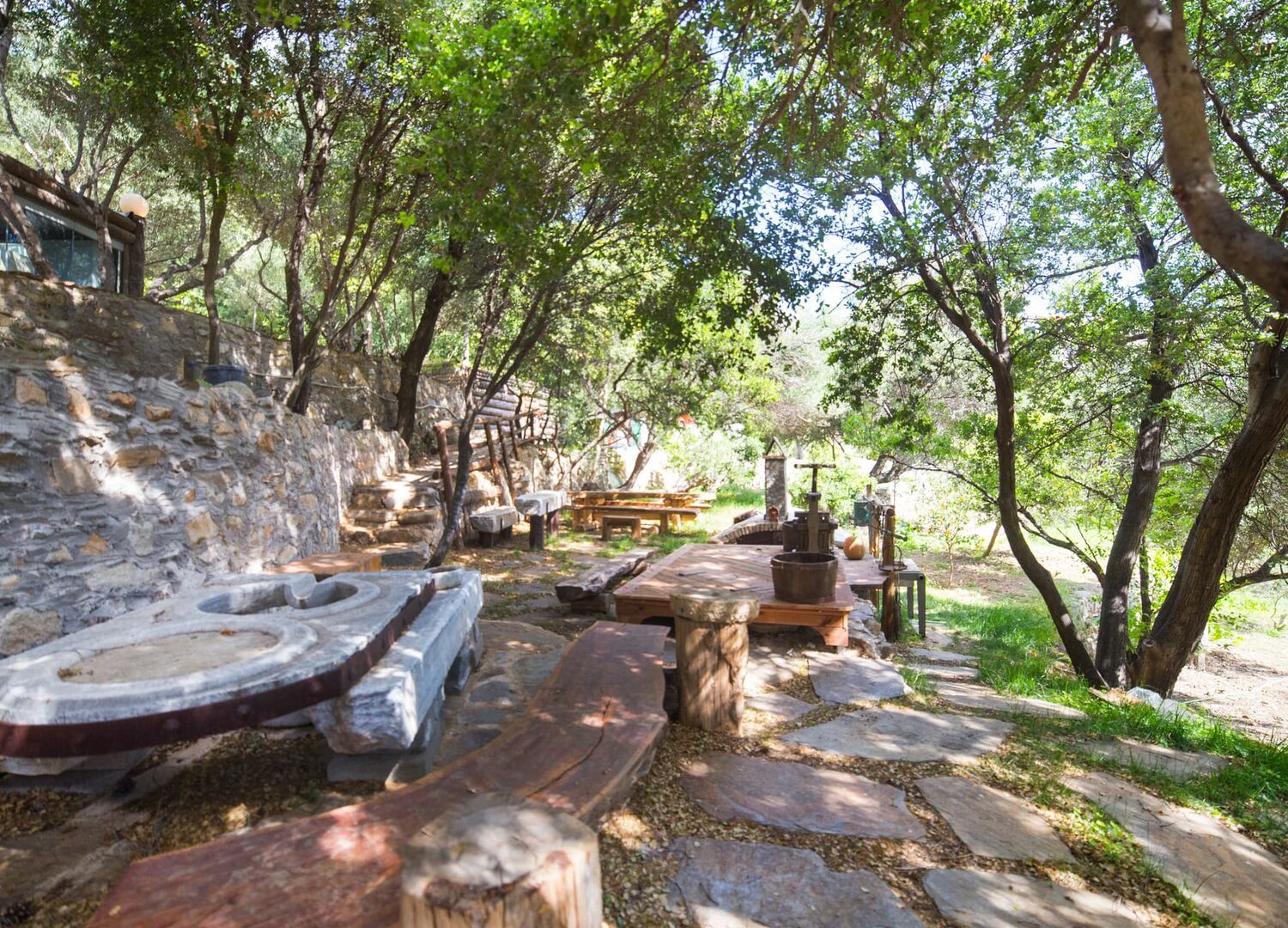 CPTIKAROS-photo-3