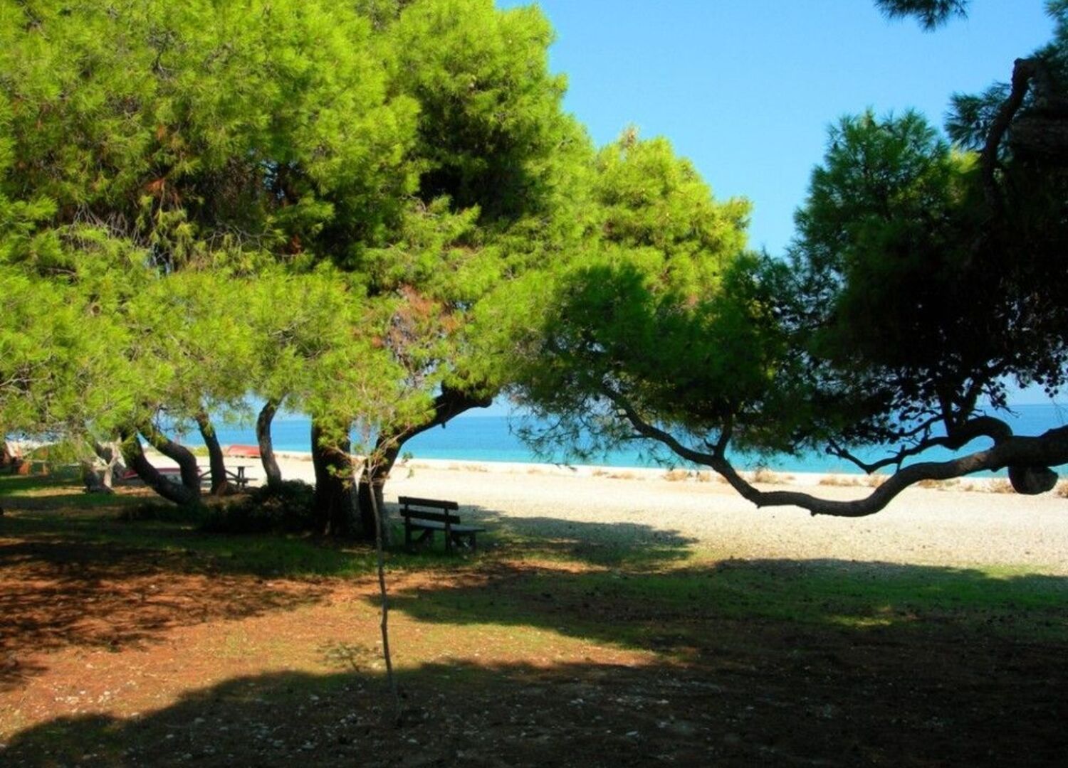 DAPHNE-photo-3
