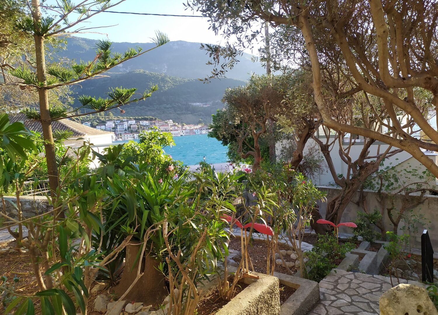DIOSKOUROI-photo-3