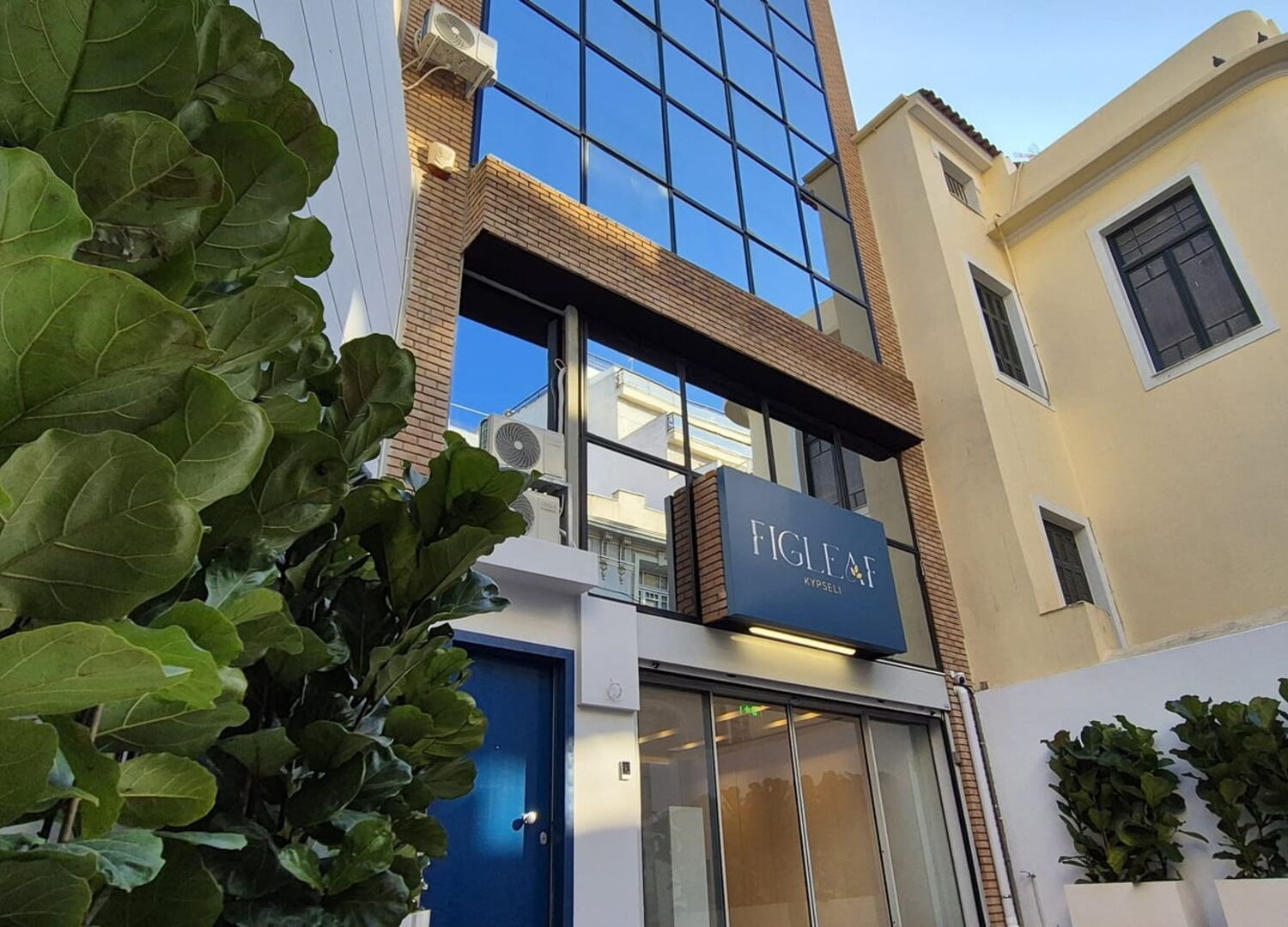 FIGLEAF-photo-3