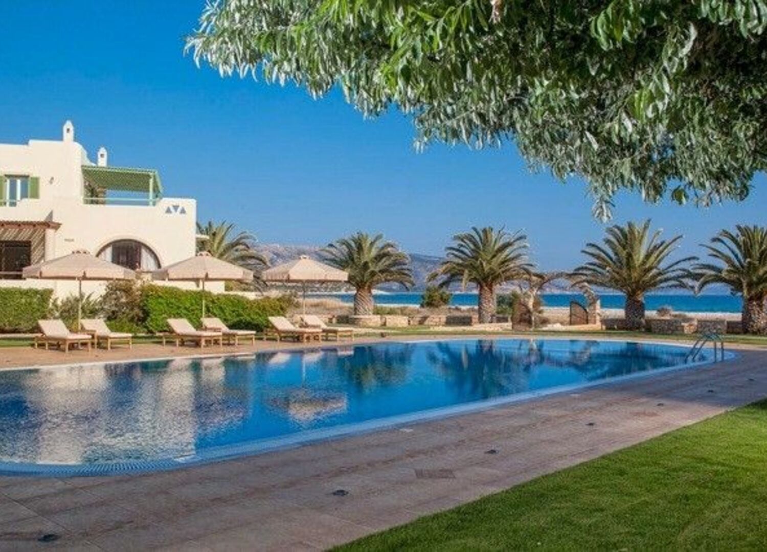 FINIKAS-photo-3