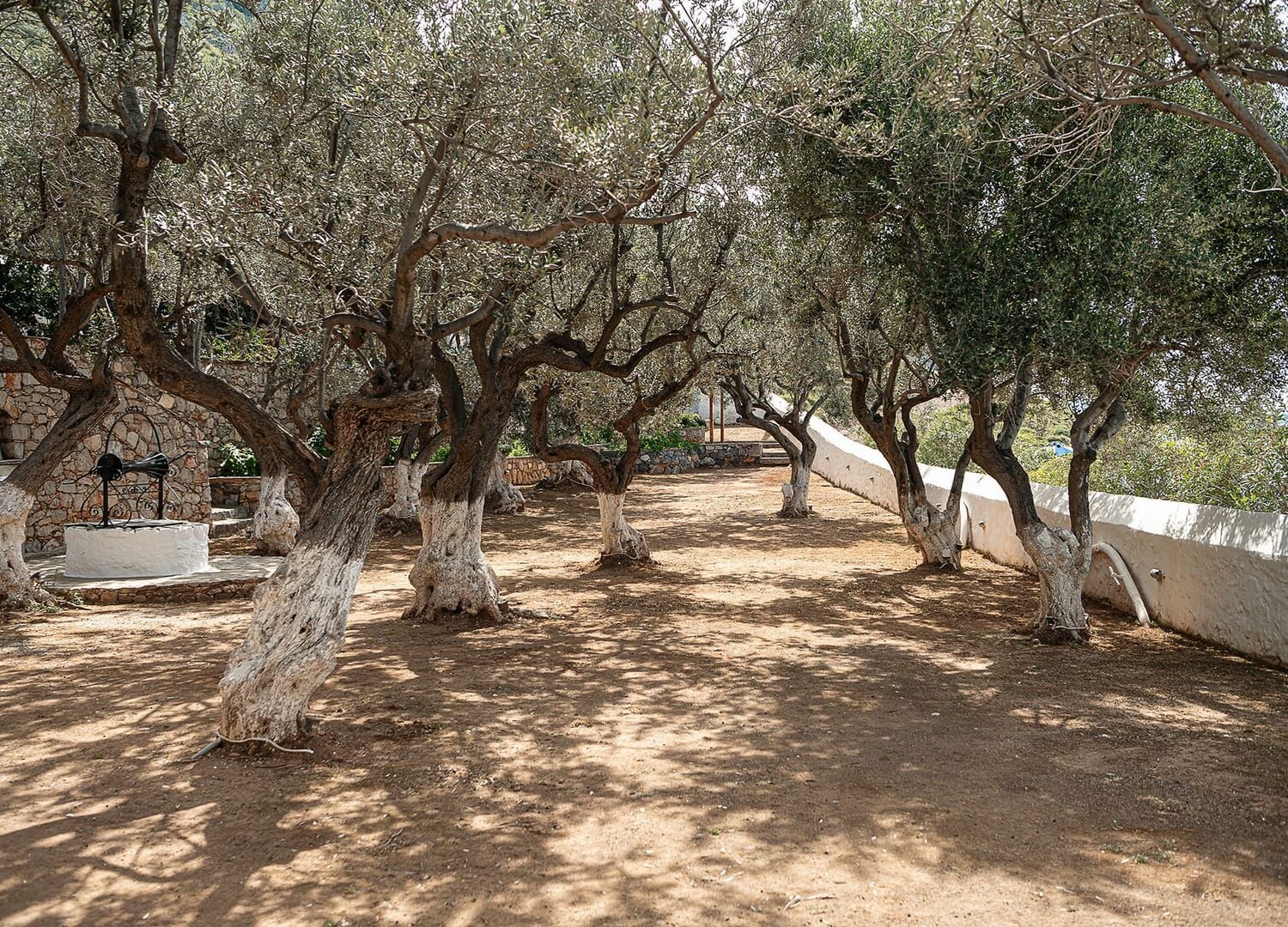 FOURSEA-photo-3