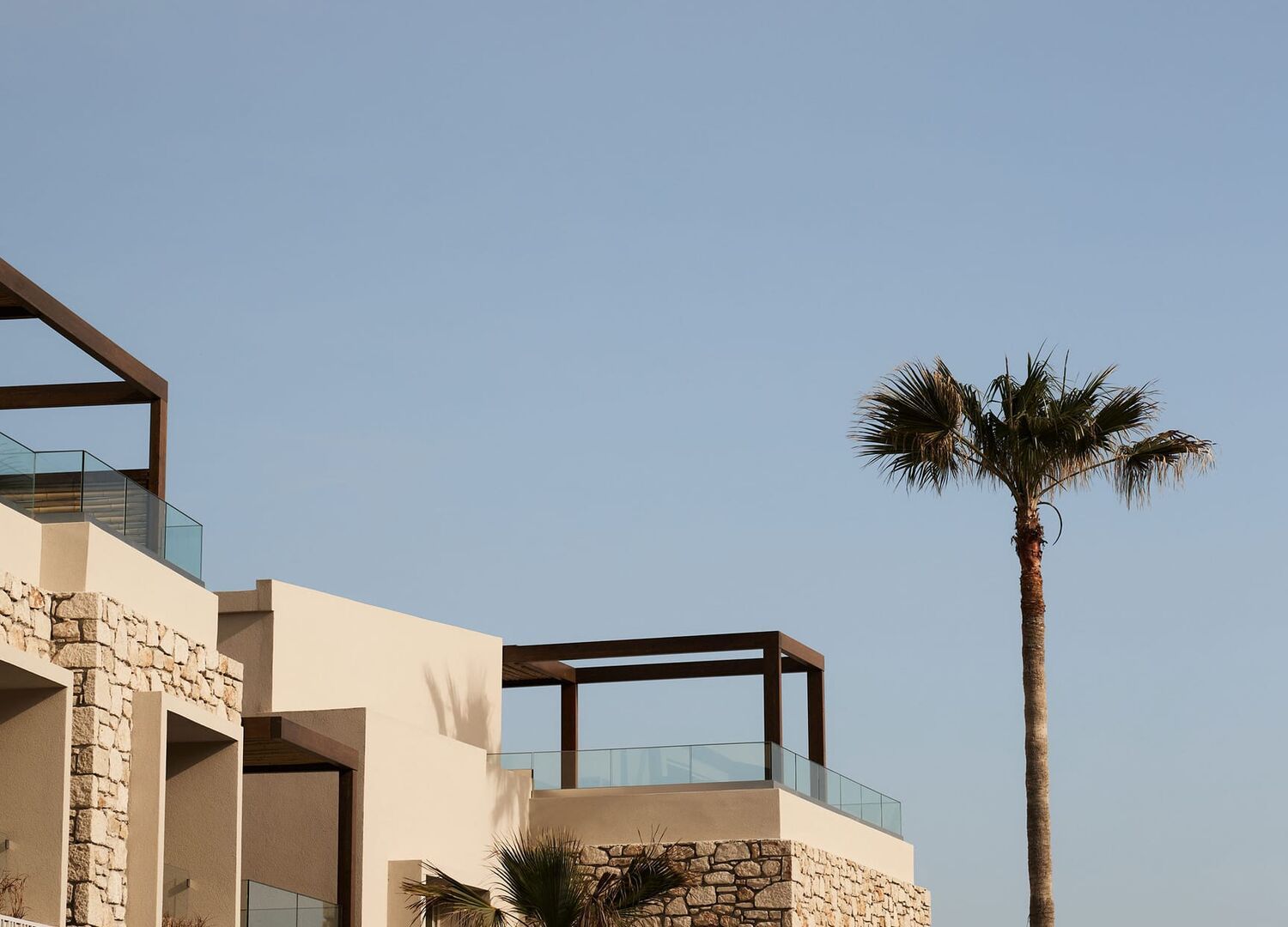 GALEANAM-photo-3