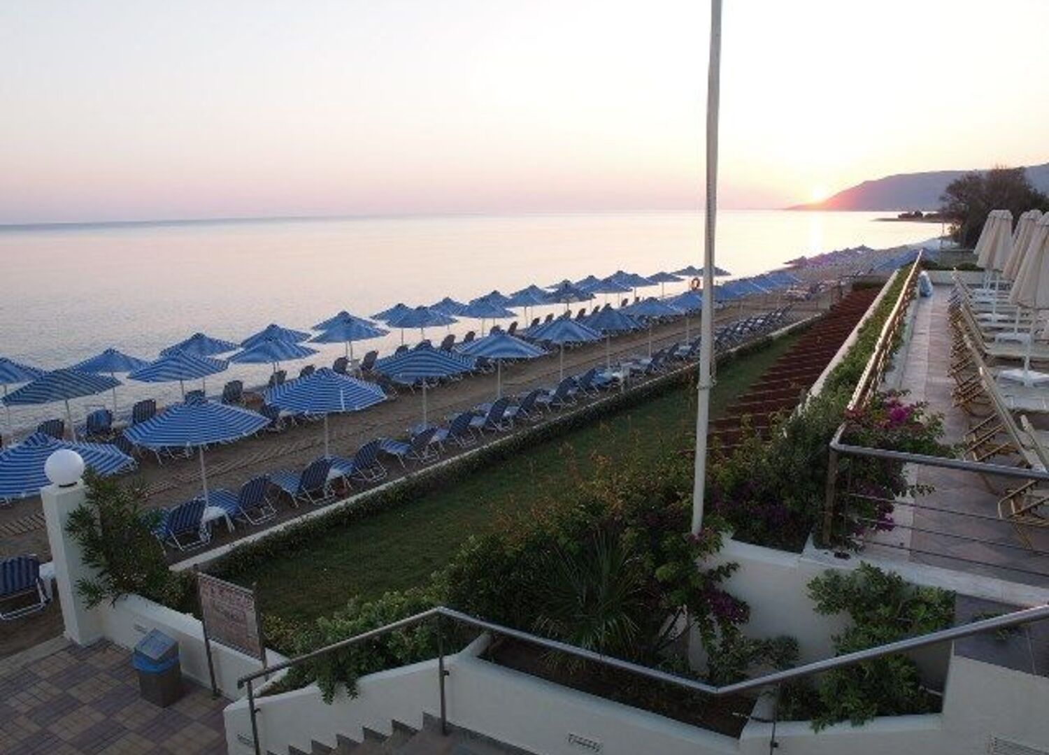HYDRAMISPA-photo-3