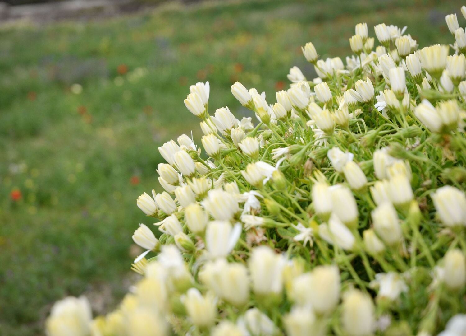KTIMAZ-photo-3
