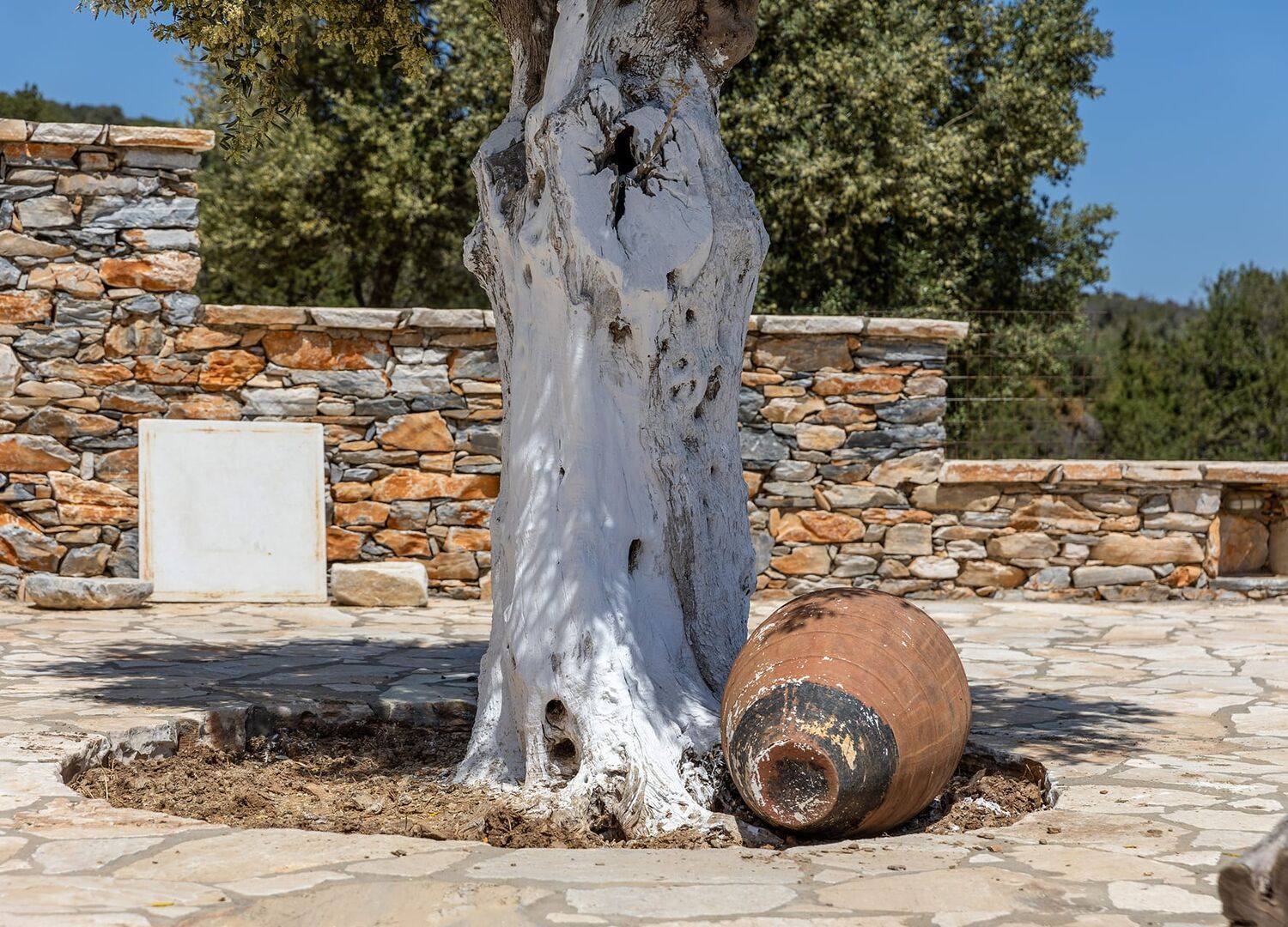 LIGARIDIA-photo-3