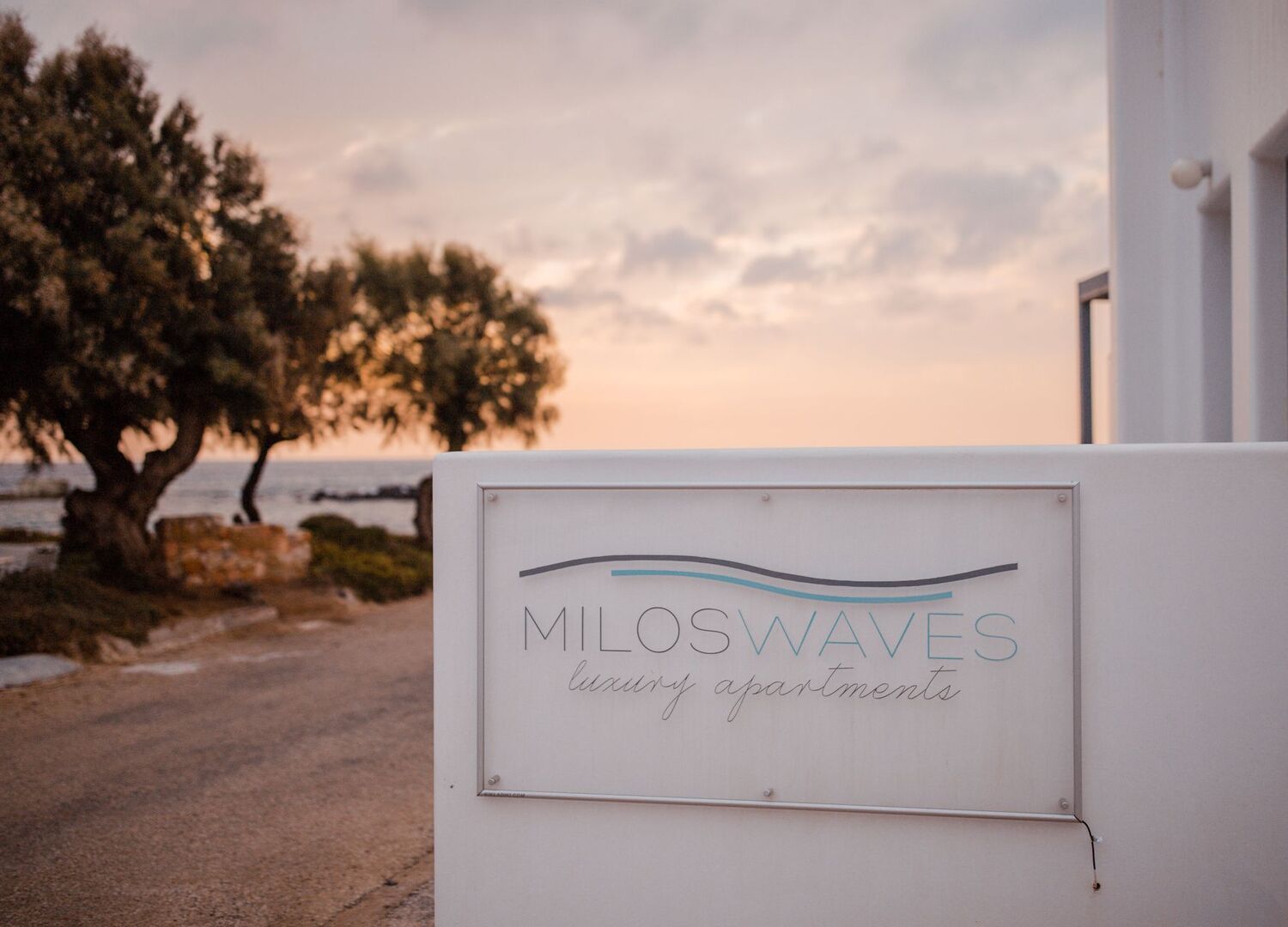 MILOSWAVES-photo-3