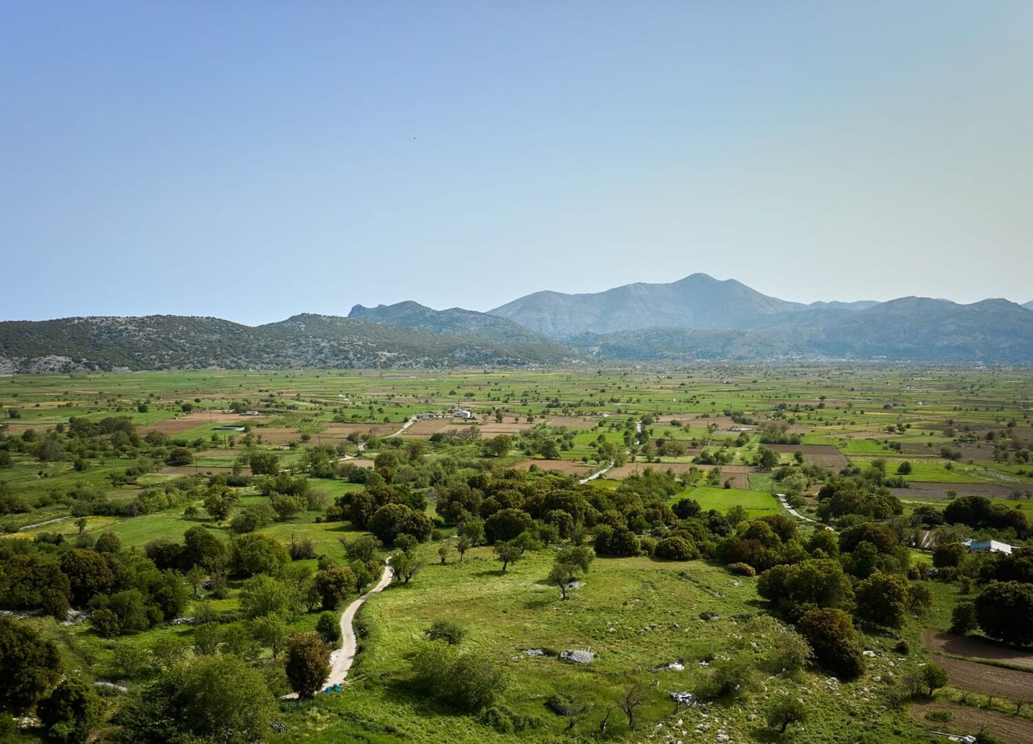 MYLOSTASSI-photo-3
