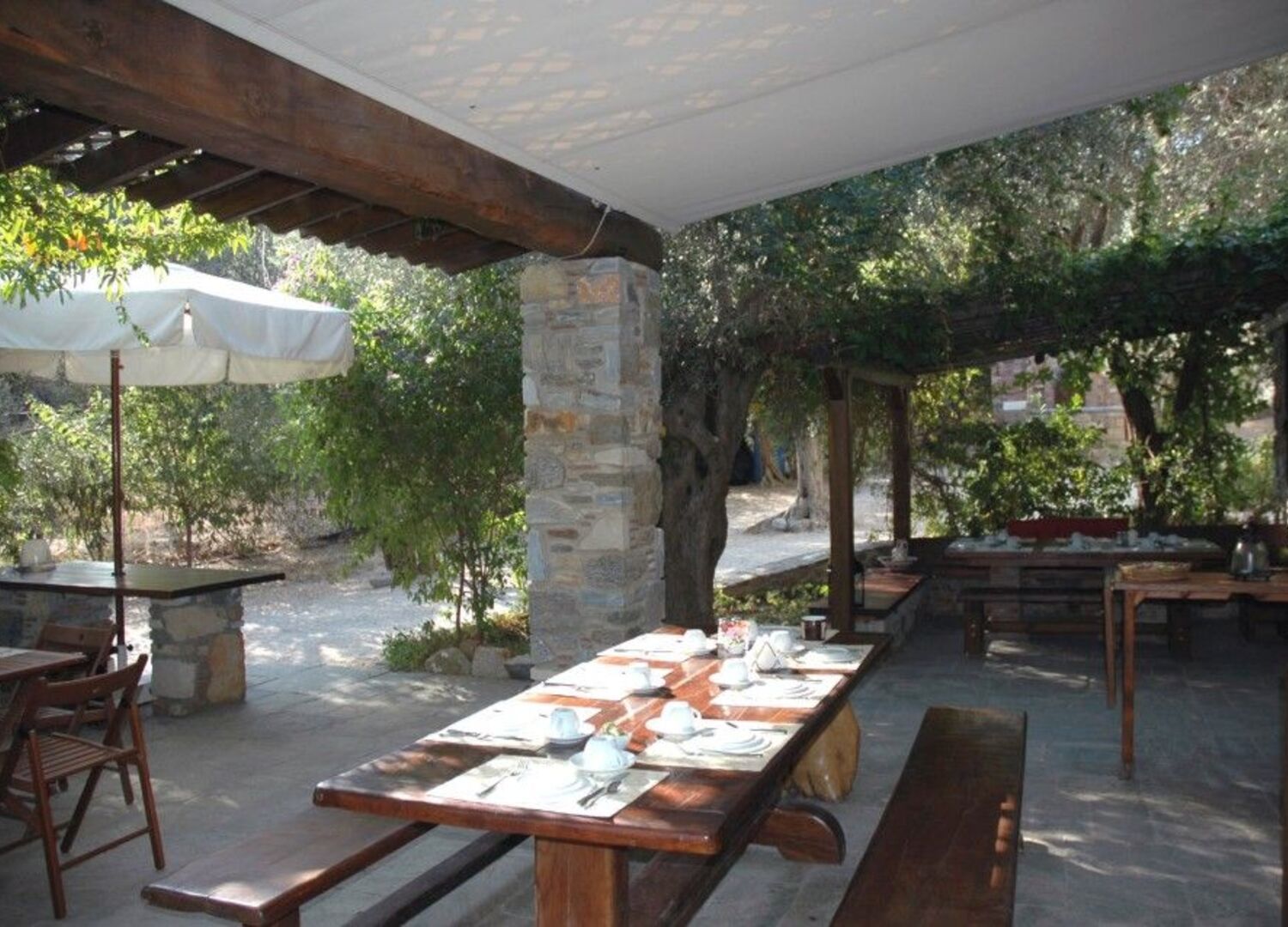 OLIVEGROVE-photo-3