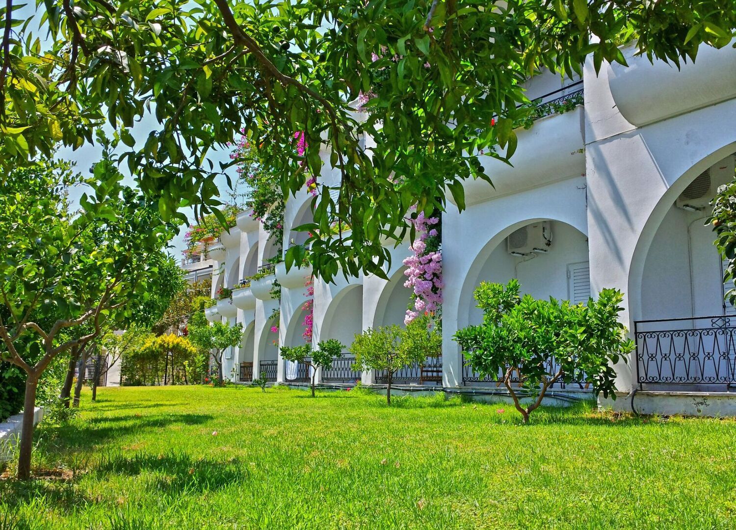 SPIROS-photo-3