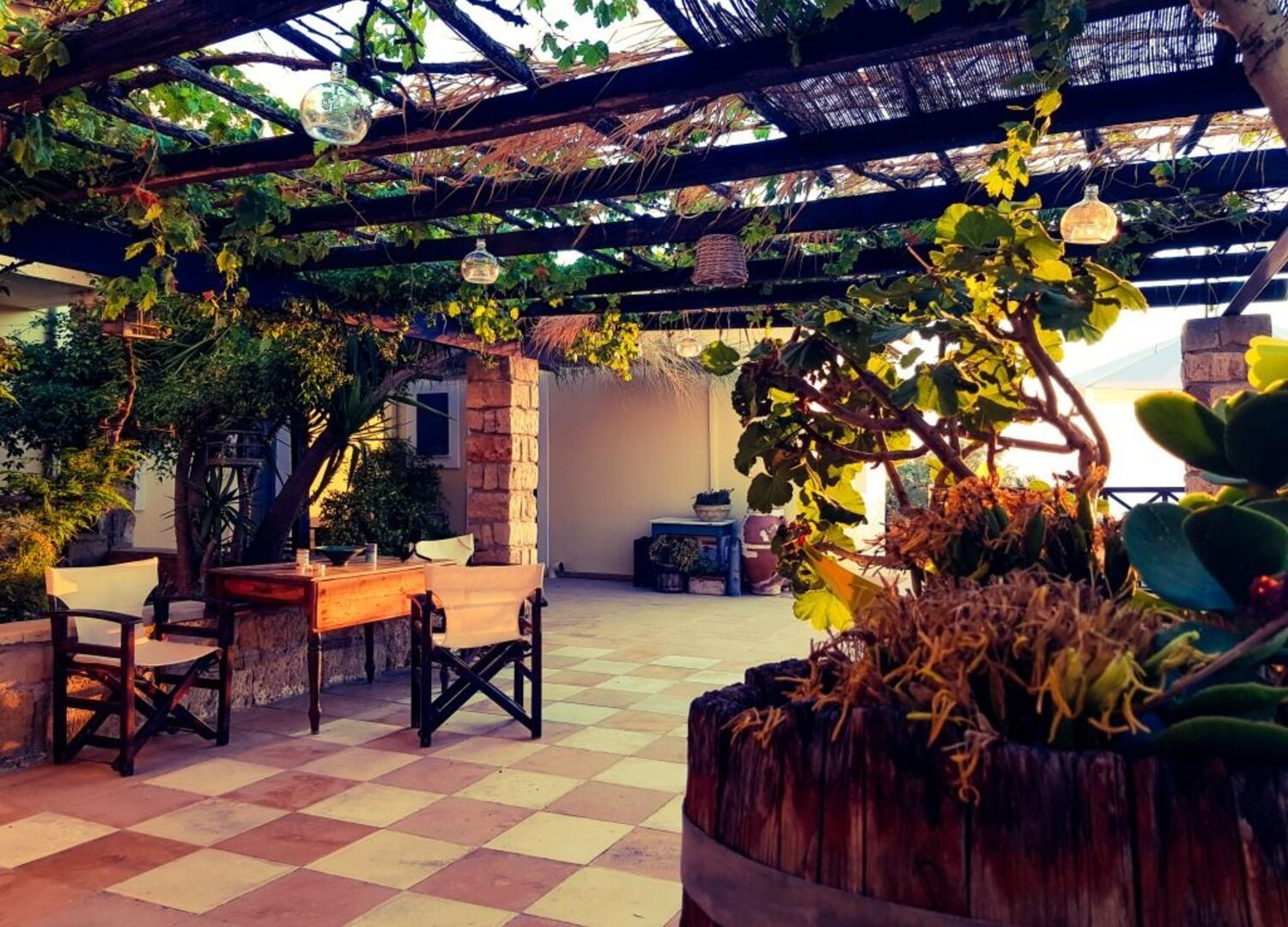 VRACHOKIP-photo-3