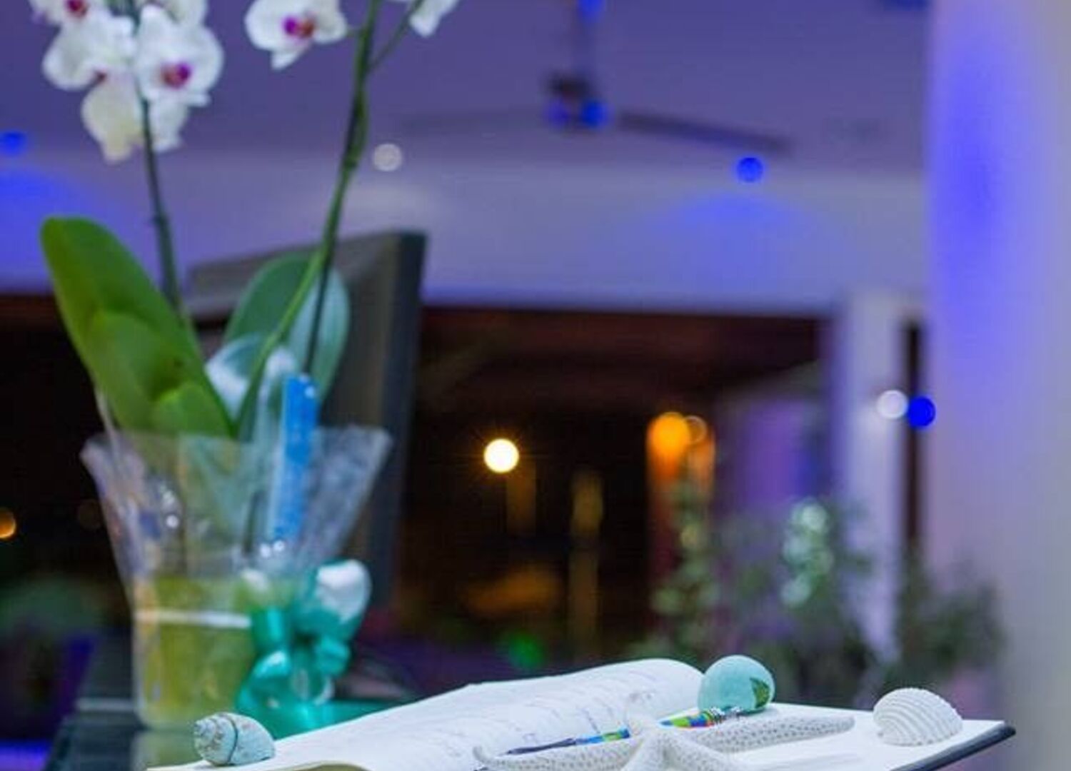 ZOESHOTEL-photo-3
