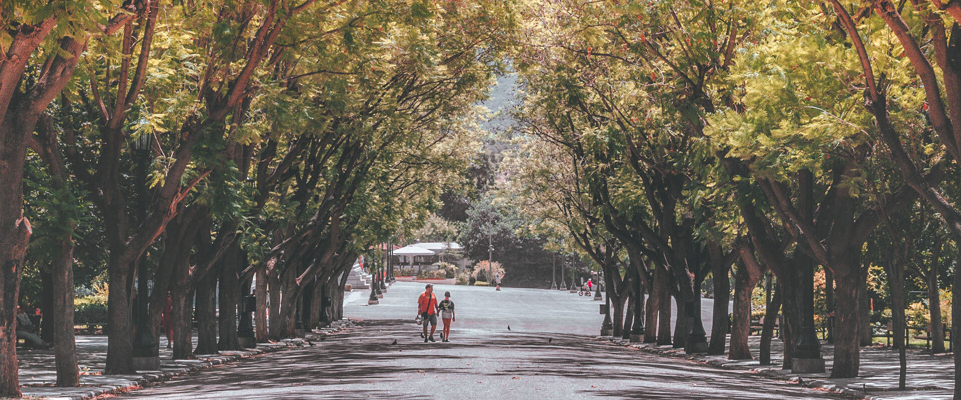 Make sure you have a stroll through the gardens, past Zappeion Hall