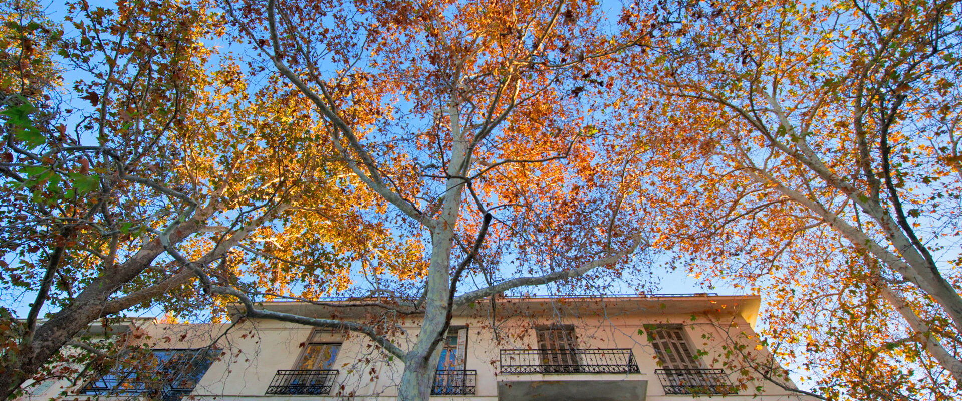 Strolling in Aeropagitou street, Athens