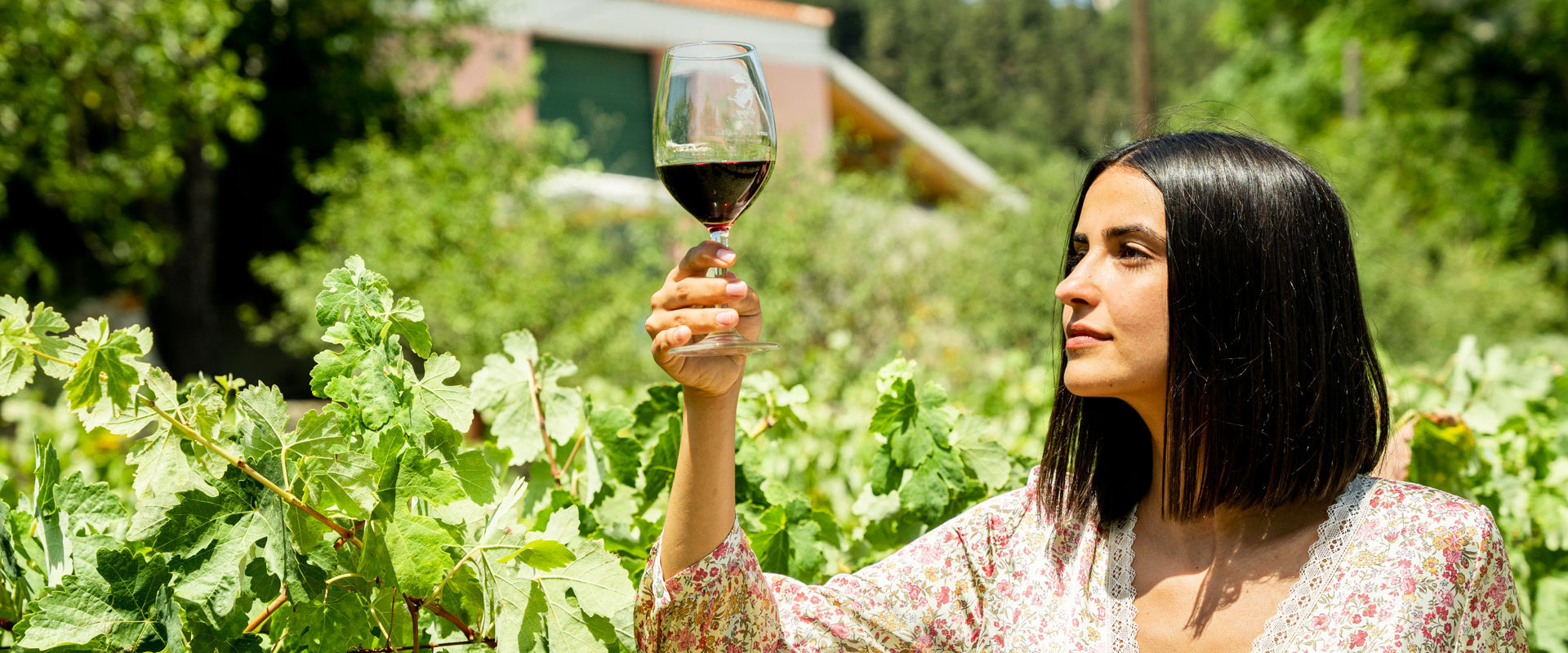 If you are interested in exploring the other grape varieties, there are wineries around Lixouri