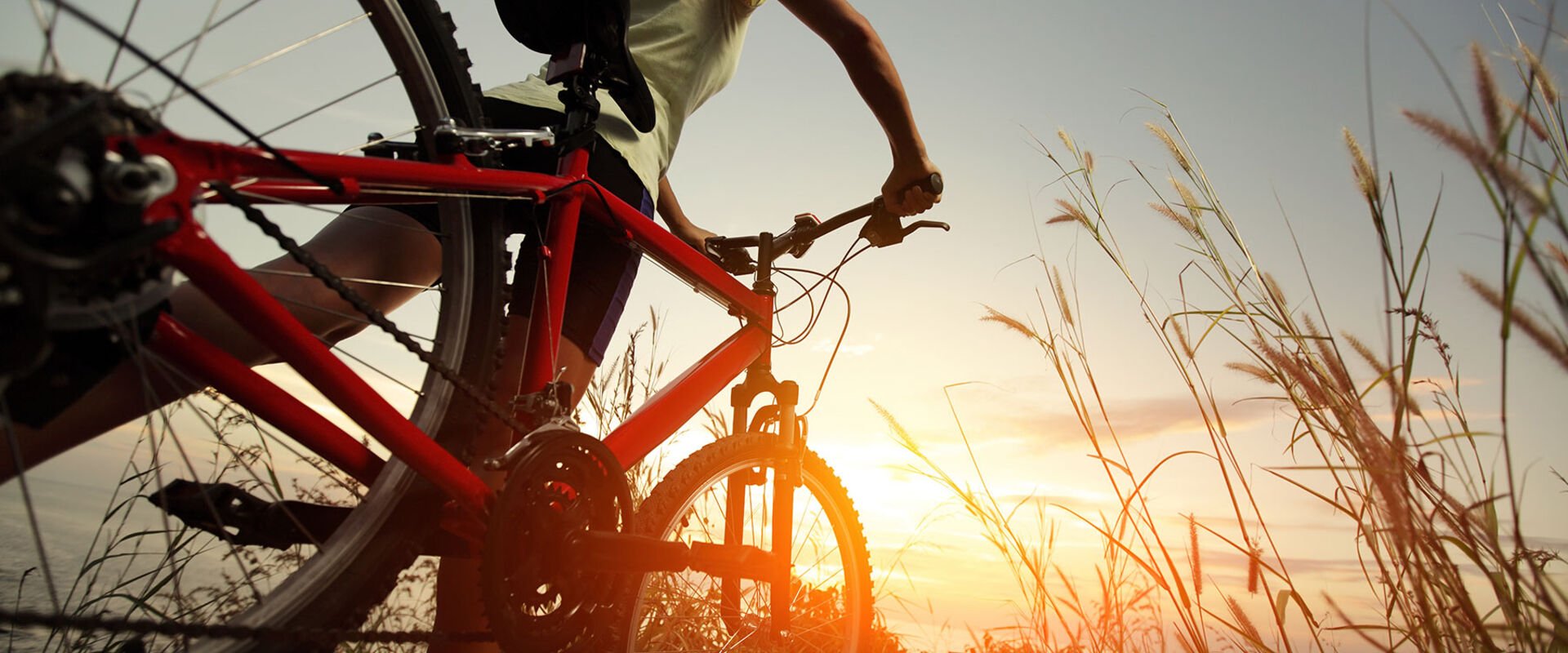 Jeune femme en vélo dans la nature au coucher du soleil