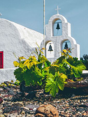 Wine-making can be traced here to before the eruption of its legendary volcano, more than 3,000 years ago