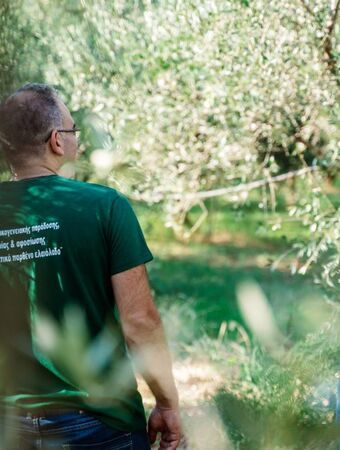 Corinth: Advance olive tour and tasting with virtual reality presentation