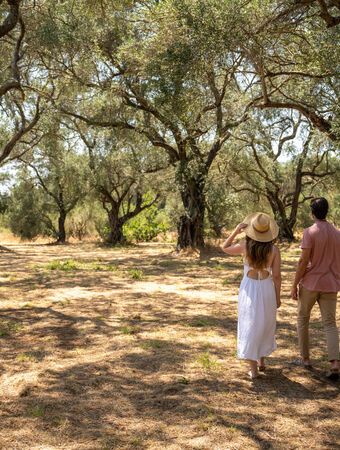 The history of Greek olive oil