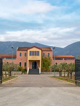 Authentische Weinverkostung und griechisches Gastronomieerlebnis - Argos und Nafplio, Peloponnes