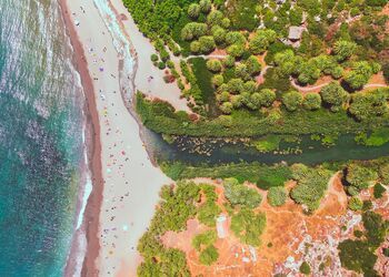 Erleben Sie die palmengesäumte Schönheit des Strandes von Preveli
