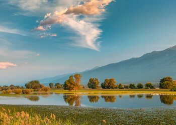 Lac de Kerkini