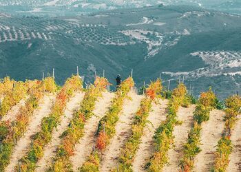 Un tour culinario di Chania