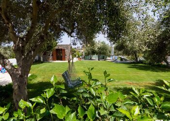 Athena Villas Olive Grove & Estate Crete