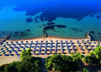 Blue Dolphin Hotel Chalkidiki