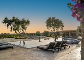 Phaos Cellaria Estate