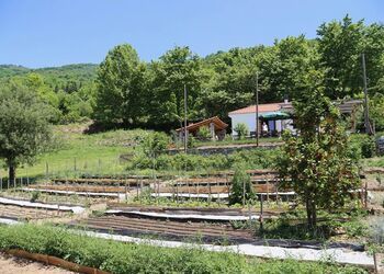 Karaiskos Farm