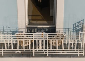 Luxury Suites by Lato