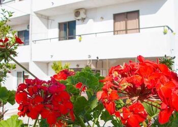 Nikos BnB