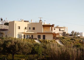 Opuntia Suites