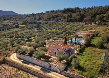 The Olive Grove Villas