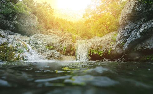 Just the setting catapults this experience into once-in-a-lifetime territory, surrounded by the thick forest and gushing waters