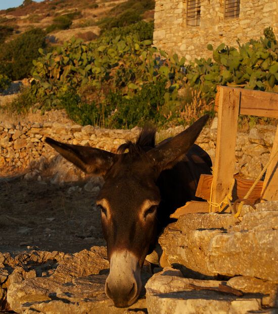 The mythical Peloponnese