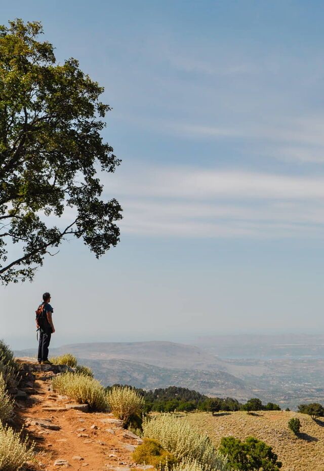 koumi mitata trail