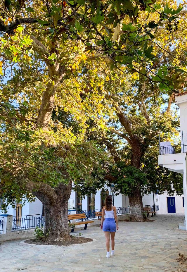 Andros - Stenies village