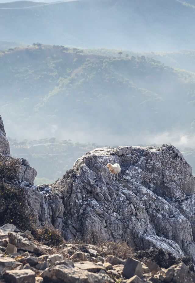 Mount Pelinaio of Chios