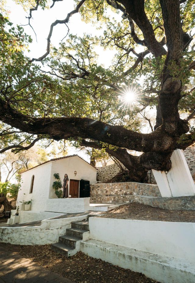 Courtyard with chapel and large plane tree at the Museum of Works by Theophilos, Lesvos
