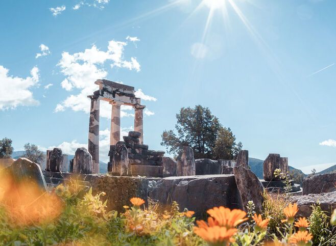 The best experience is in spring when the olive groves and wildflowers are in bloom 